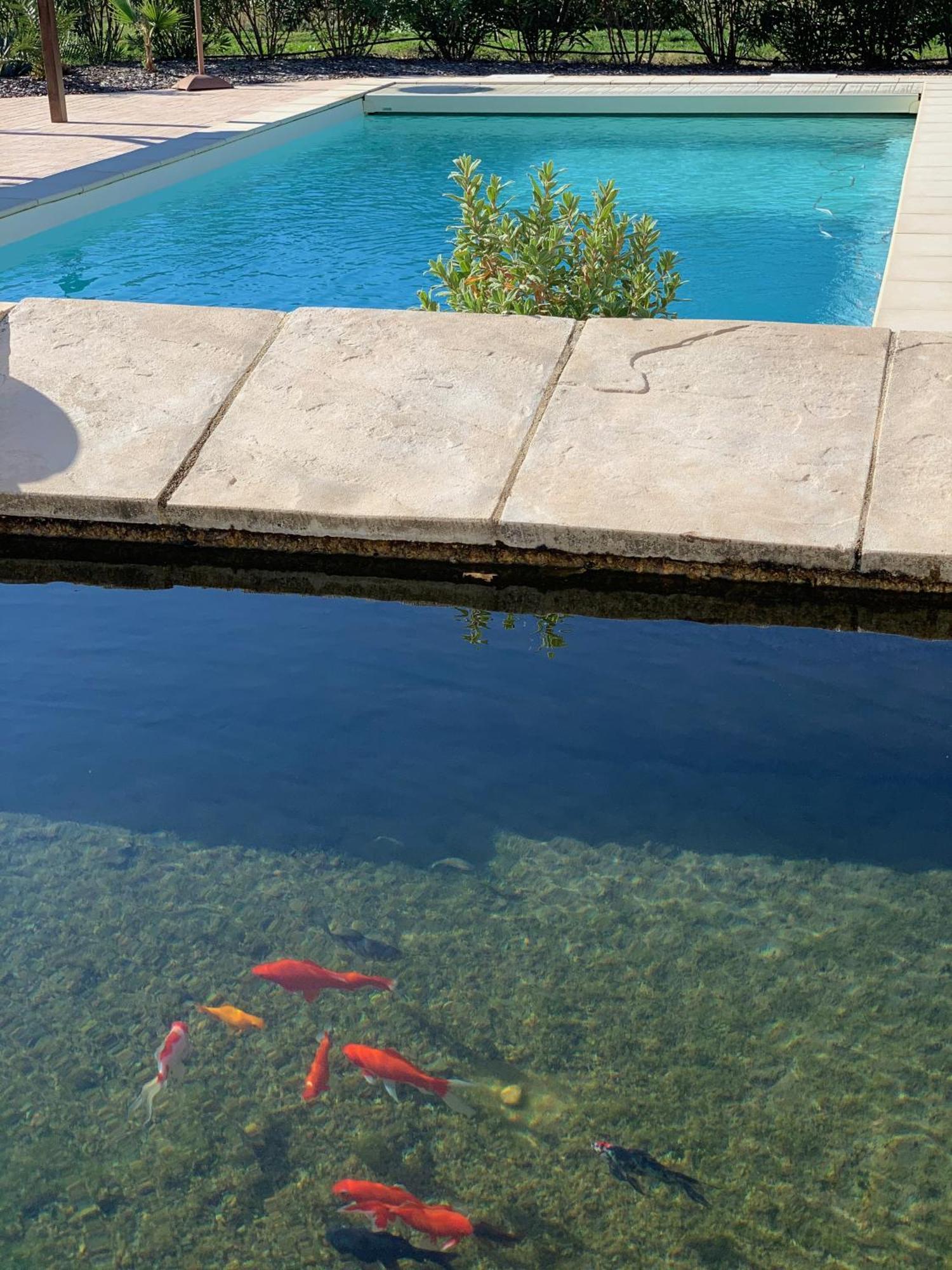 Mon Chemin Prive Bed & Breakfast Mirabel-aux-Baronnies Exterior photo
